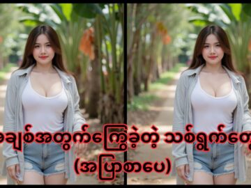 အချစ်အတွက်ကြွေခဲ့တဲ့ သစ်ရွက်တွေ